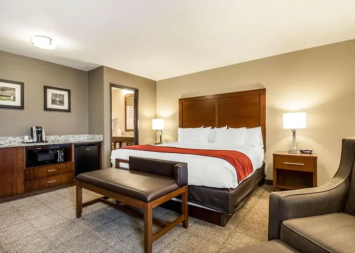 Comfort Starved Rock Area Inn 4*