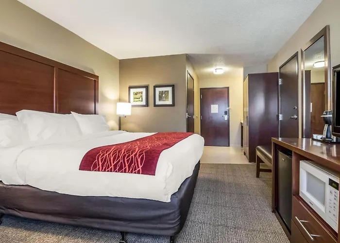 Comfort Starved Rock Area Inn