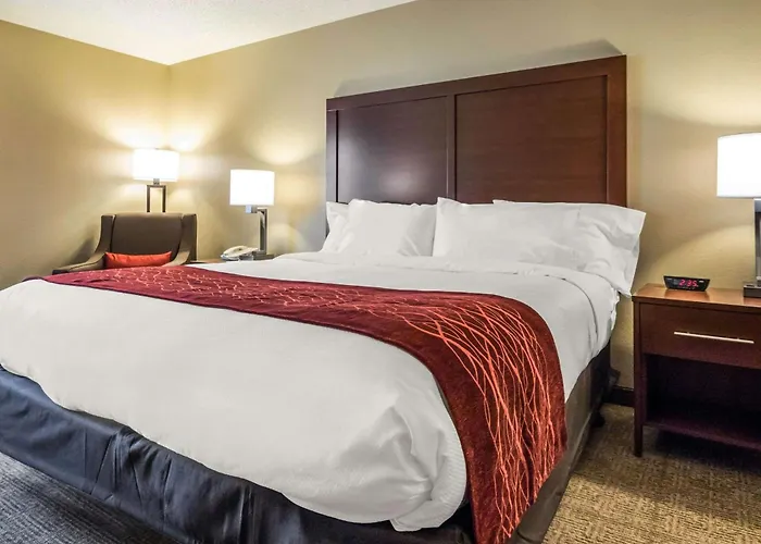 Inn Comfort Starved Rock Area 4*