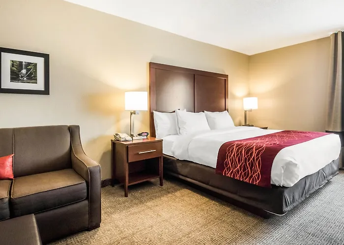 Comfort Starved Rock Area 4* Ottawa