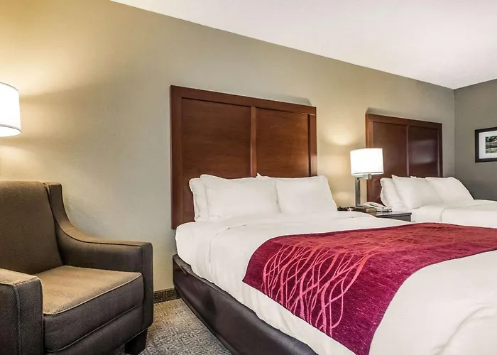 Inn Comfort Starved Rock Area 4*